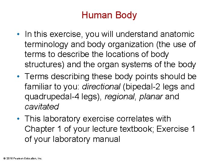 Human Body • In this exercise, you will understand anatomic terminology and body organization