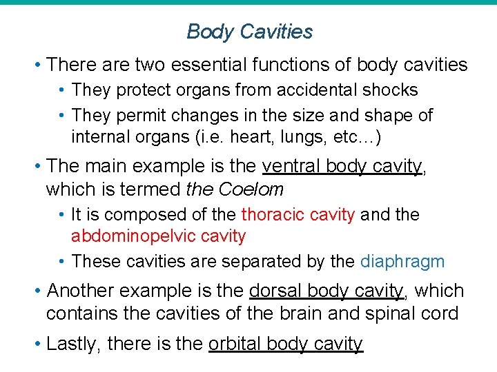 Body Cavities • There are two essential functions of body cavities • They protect