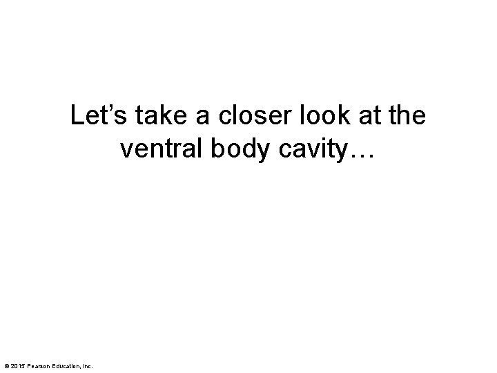 Let’s take a closer look at the ventral body cavity… © 2015 Pearson Education,