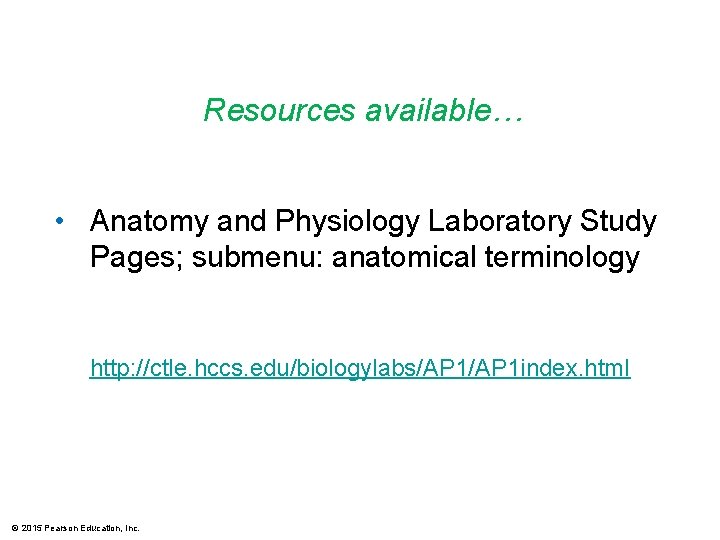 Resources available… • Anatomy and Physiology Laboratory Study Pages; submenu: anatomical terminology http: //ctle.