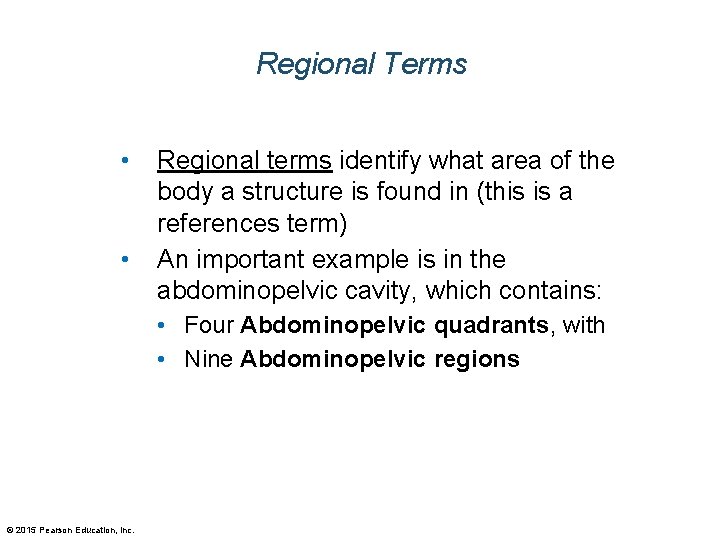 Regional Terms • • Regional terms identify what area of the body a structure