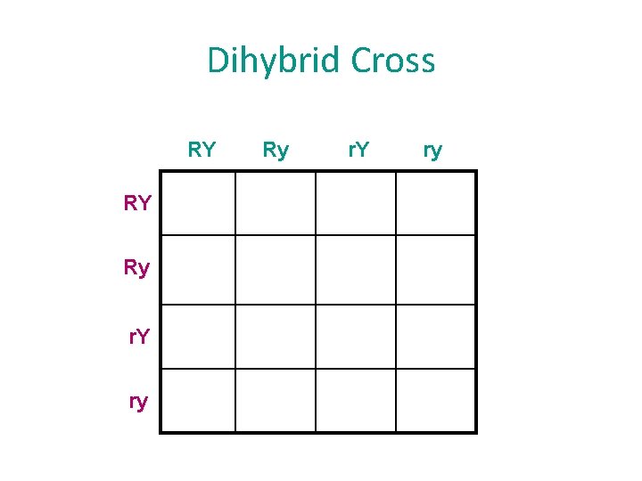 Dihybrid Cross RY RY Ry r. Y ry 