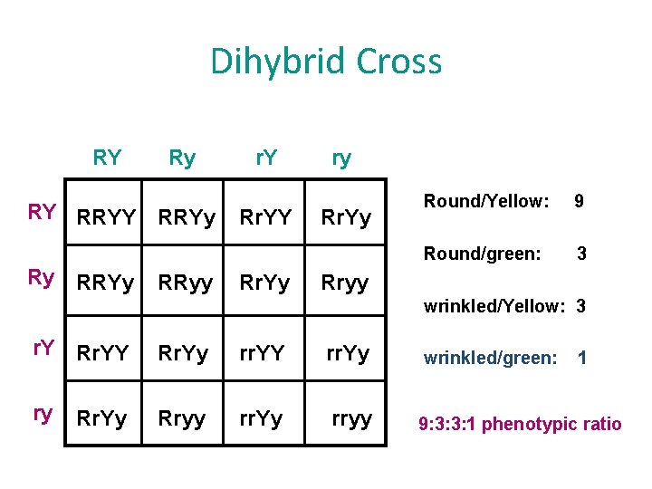 Dihybrid Cross RY Ry RY RRYy Ry RRYy RRyy r. Y Rr. Yy ry