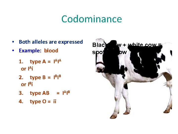 Codominance • Both alleles are expressed • Example: blood 1. type A = IAIA