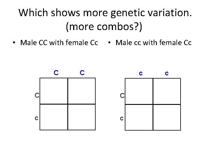 Which shows more genetic variation. (more combos? ) • Male CC with female Cc