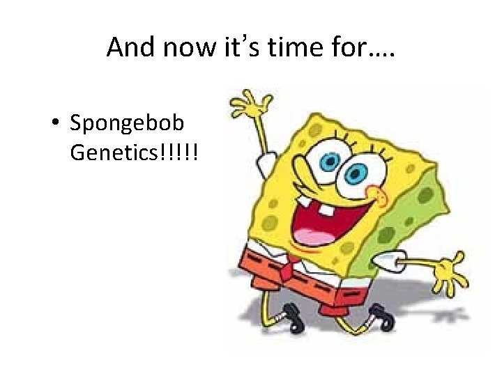 And now it’s time for…. • Spongebob Genetics!!!!! 