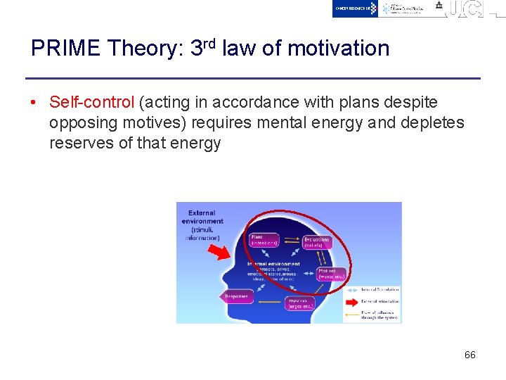 PRIME Theory: 3 rd law of motivation • Self-control (acting in accordance with plans