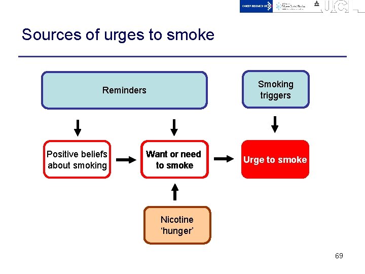Sources of urges to smoke Smoking triggers Reminders Positive beliefs about smoking Want or