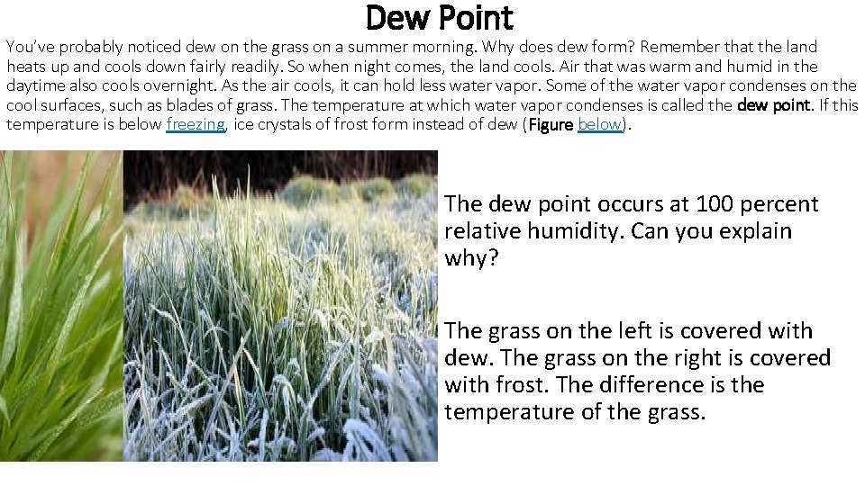 Dew Point You’ve probably noticed dew on the grass on a summer morning. Why Dew Point You’ve probably noticed dew on the grass on a summer morning. Why
