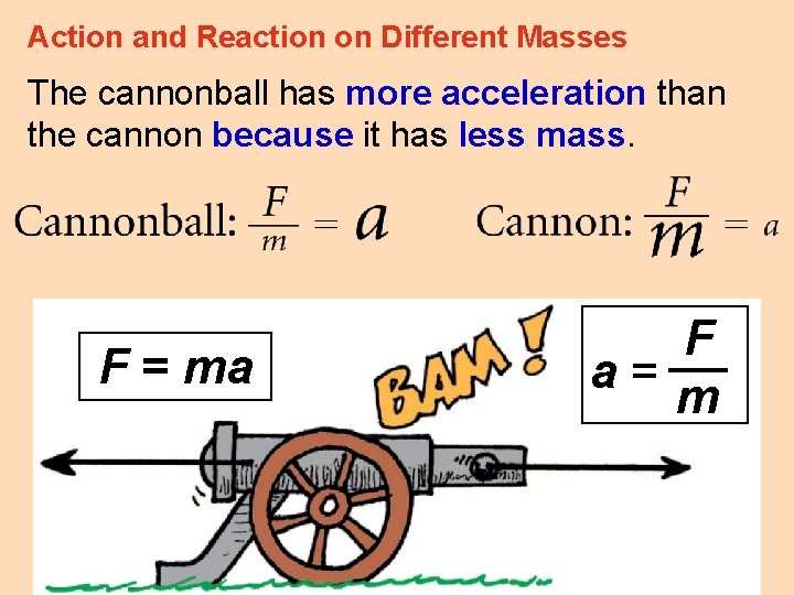 Action and Reaction on Different Masses The cannonball has more acceleration than the cannon