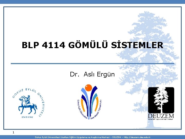 BLP 4114 GÖMÜLÜ SİSTEMLER Dr. Aslı Ergün 1 Dokuz Eylül Üniversitesi Uzaktan Eğitim Uygulama