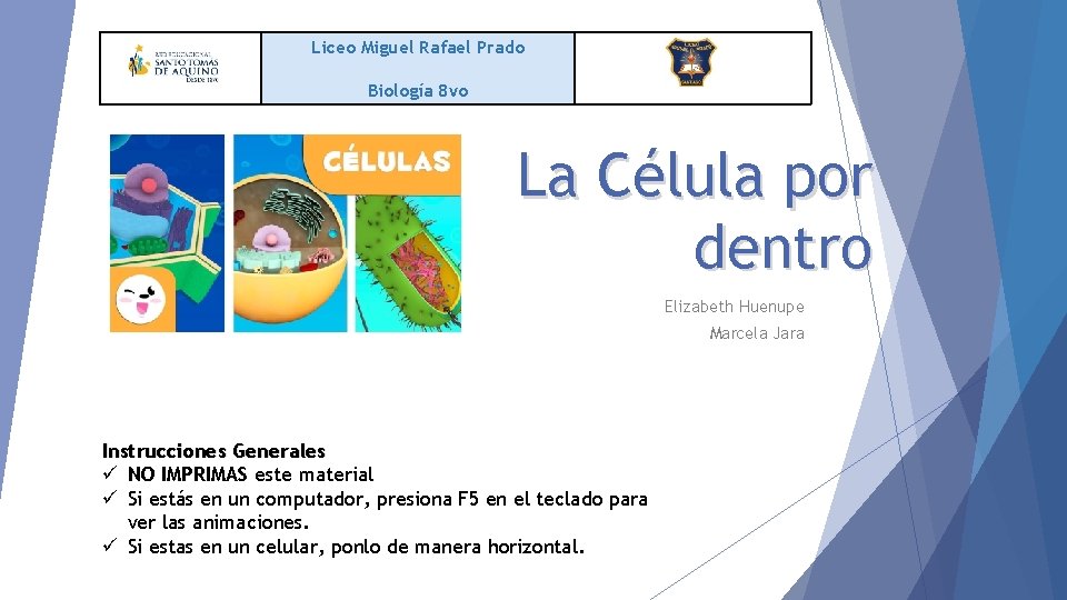 Liceo Miguel Rafael Prado Biología 8 vo La Célula por dentro Elizabeth Huenupe Marcela