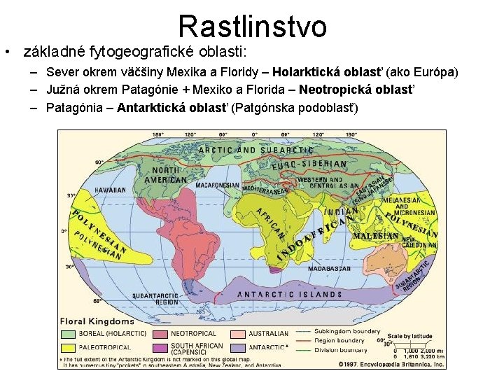 Rastlinstvo • základné fytogeografické oblasti: – Sever okrem väčšiny Mexika a Floridy – Holarktická