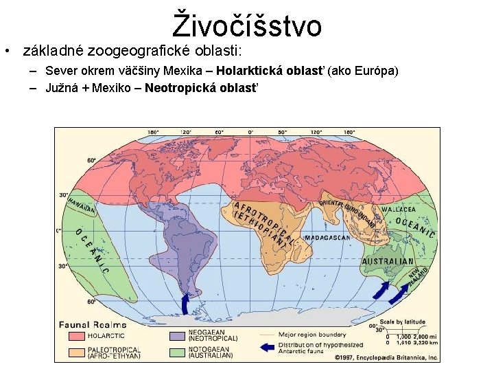 Živočíšstvo • základné zoogeografické oblasti: – Sever okrem väčšiny Mexika – Holarktická oblasť (ako