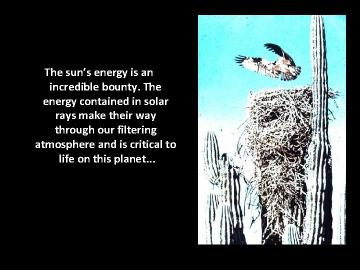 The sun’s energy is an incredible bounty. The energy contained in solar rays make The sun’s energy is an incredible bounty. The energy contained in solar rays make