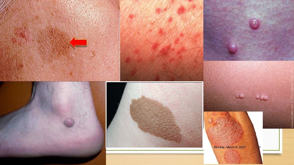 Monday, March 8, 2021 3 