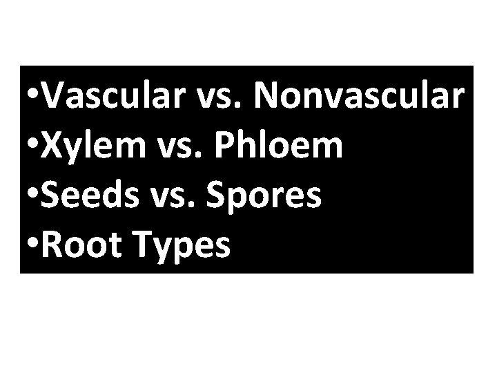 • Vascular vs. Nonvascular • Xylem vs. Phloem • Seeds vs. Spores • • Vascular vs. Nonvascular • Xylem vs. Phloem • Seeds vs. Spores •