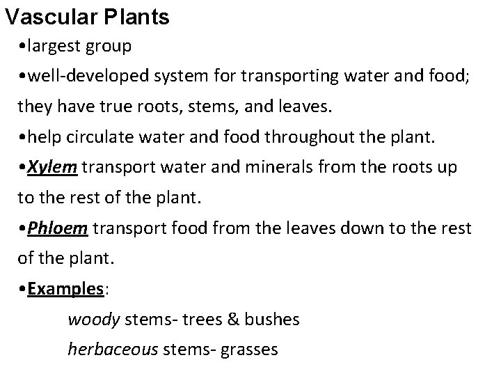 Vascular Plants • largest group • well-developed system for transporting water and food; they Vascular Plants • largest group • well-developed system for transporting water and food; they