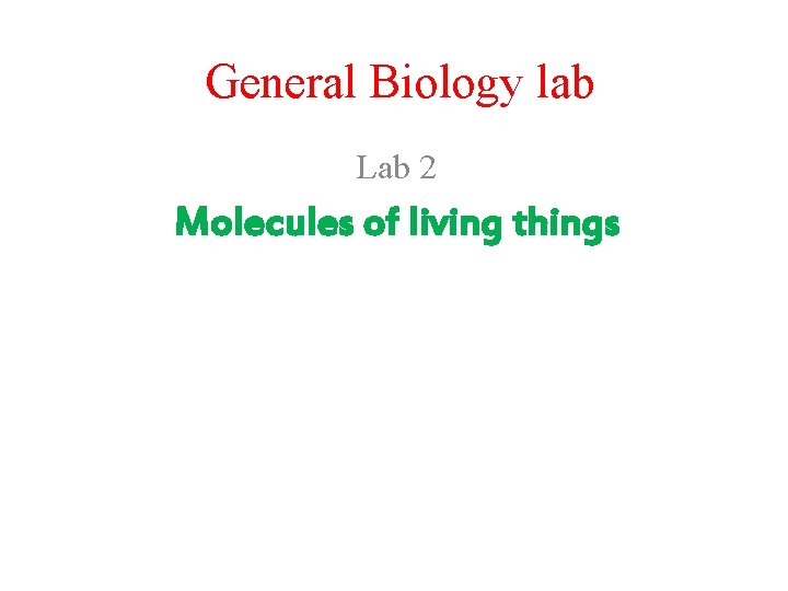 General Biology lab Lab 2 Molecules of living things 