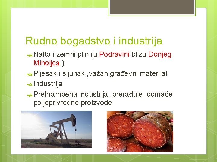Rudno bogadstvo i industrija Nafta i zemni plin (u Podravini blizu Donjeg Miholjca )