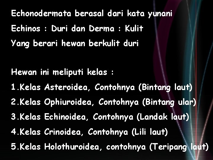 Echonodermata berasal dari kata yunani Echinos : Duri dan Derma : Kulit Yang berari Echonodermata berasal dari kata yunani Echinos : Duri dan Derma : Kulit Yang berari