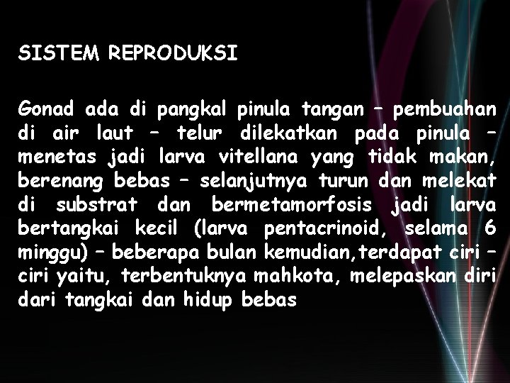SISTEM REPRODUKSI Gonad ada di pangkal pinula tangan – pembuahan di air laut – SISTEM REPRODUKSI Gonad ada di pangkal pinula tangan – pembuahan di air laut –