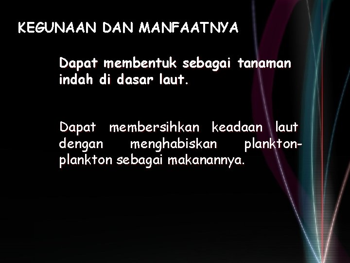 KEGUNAAN DAN MANFAATNYA Dapat membentuk sebagai tanaman indah di dasar laut. Dapat membersihkan keadaan KEGUNAAN DAN MANFAATNYA Dapat membentuk sebagai tanaman indah di dasar laut. Dapat membersihkan keadaan