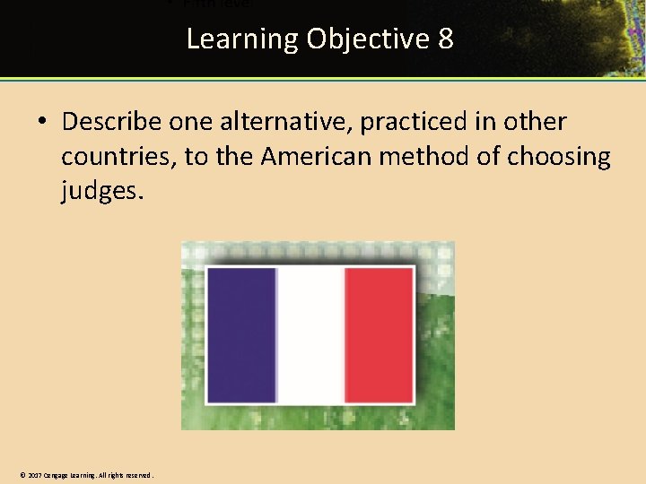 Learning Objective 8 • Describe one alternative, practiced in other countries, to the American Learning Objective 8 • Describe one alternative, practiced in other countries, to the American
