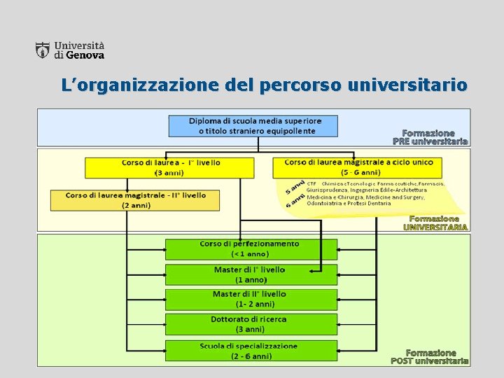 L’organizzazione del percorso universitario 