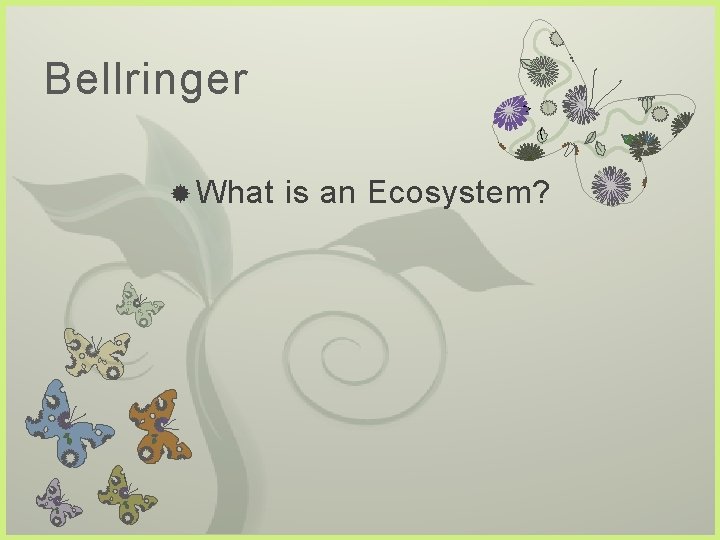 Bellringer What 7 is an Ecosystem? 