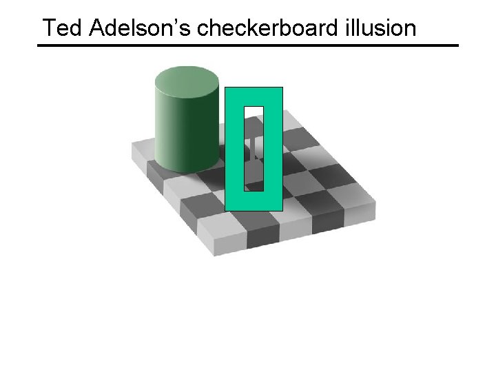 Ted Adelson’s checkerboard illusion 