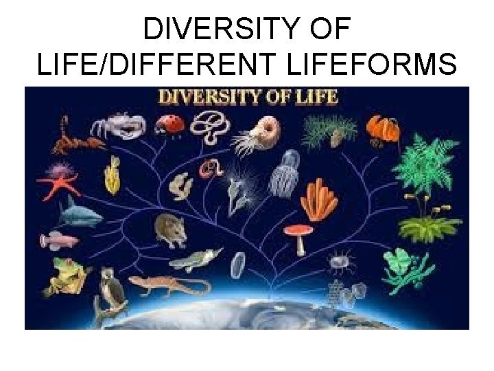 DIVERSITY OF LIFE/DIFFERENT LIFEFORMS 