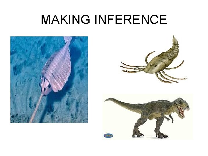 MAKING INFERENCE 