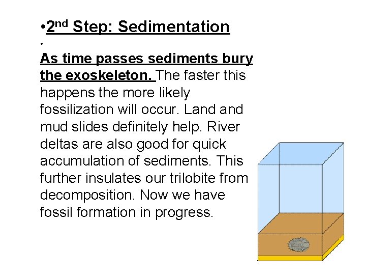  • 2 nd Step: Sedimentation • As time passes sediments bury the exoskeleton.