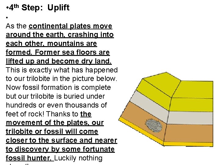  • 4 th Step: Uplift • As the continental plates move around the