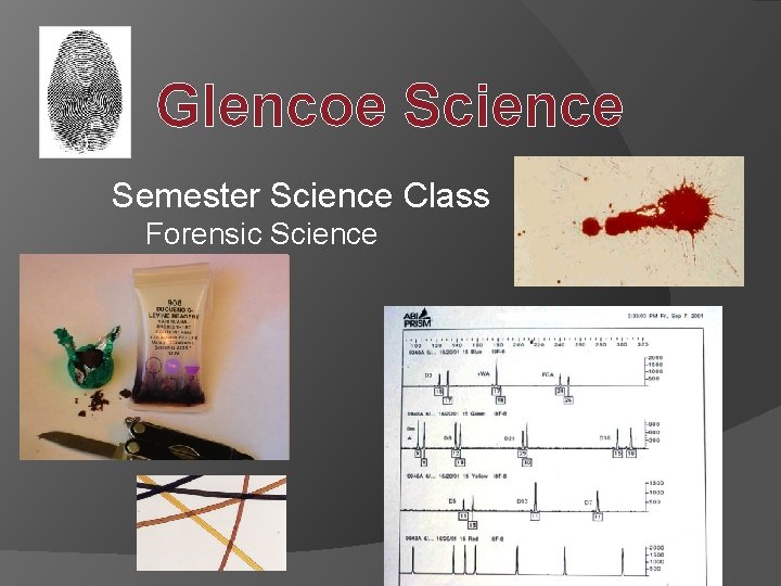 Glencoe Science Semester Science Class Forensic Science 