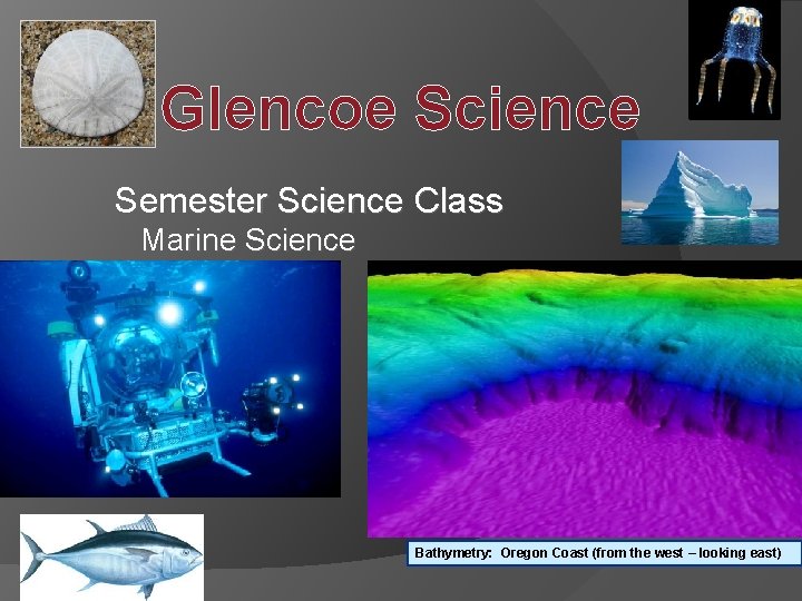 Glencoe Science Semester Science Class Marine Science Bathymetry: Oregon Coast (from the west –
