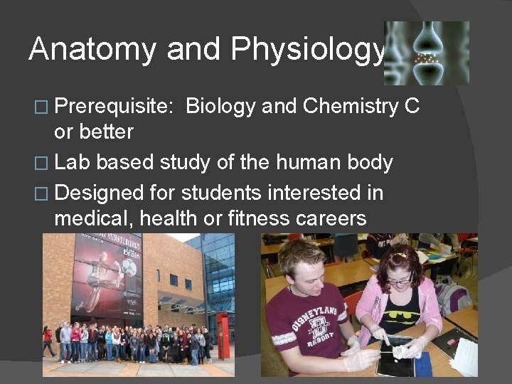 Anatomy and Physiology � Prerequisite: Biology and Chemistry C or better � Lab based