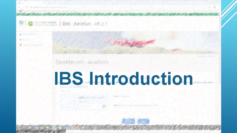 IBS Introduction 