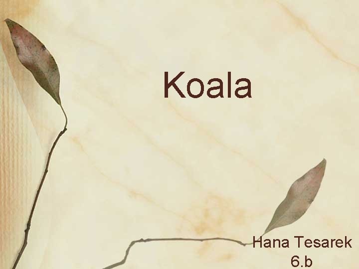 Koala Hana Tesarek 6. b 