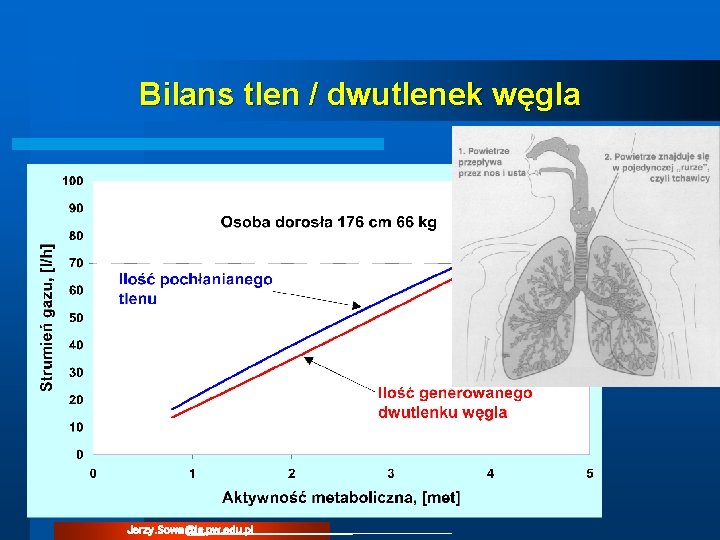 Bilans tlen / dwutlenek węgla Proces oddychania Jerzy. Sowa@is. pw. edu. pl Bilans tlen / dwutlenek węgla Proces oddychania Jerzy. Sowa@is. pw. edu. pl