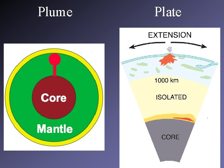 Plume Plate 4 