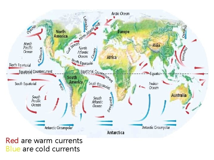 Red are warm currents Blue are cold currents Red are warm currents Blue are cold currents