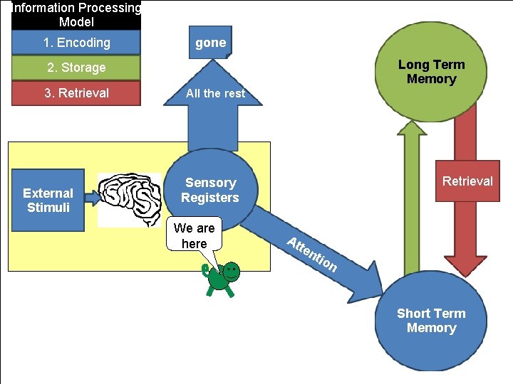 Information Processing Model 1. Encoding gone Long Term Memory 2. Storage 3. Retrieval External