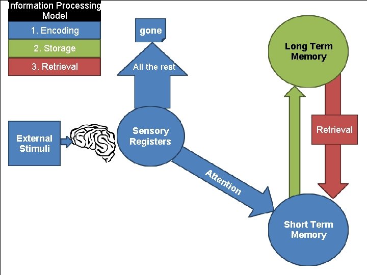 Information Processing Model 1. Encoding gone Long Term Memory 2. Storage 3. Retrieval External