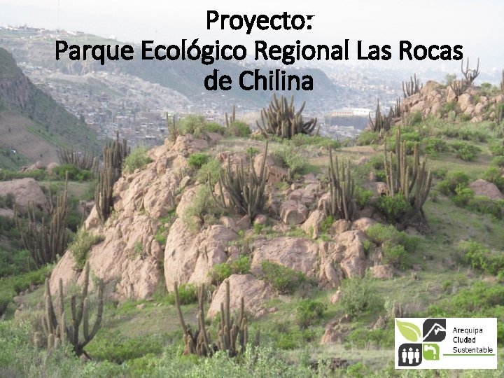Proyecto: Parque Ecológico Regional Las Rocas de Chilina 