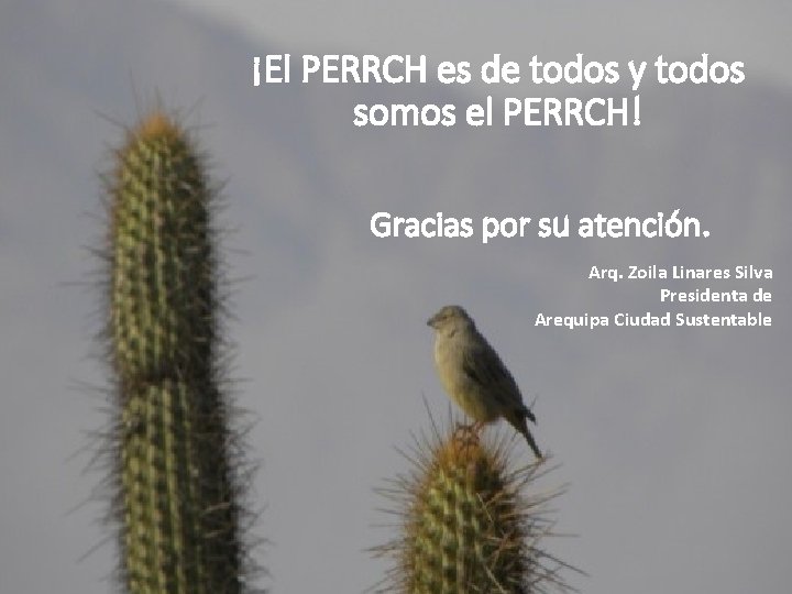 ¡El PERRCH es de todos y todos somos el PERRCH! Gracias por su atención.