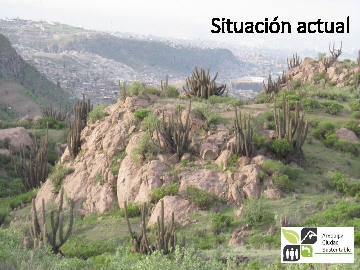 Situación actual 