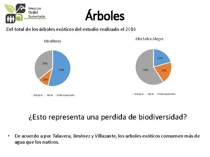 Árboles Del total de los árboles exóticos del estudio realizado el 2016 Miraflores Alto
