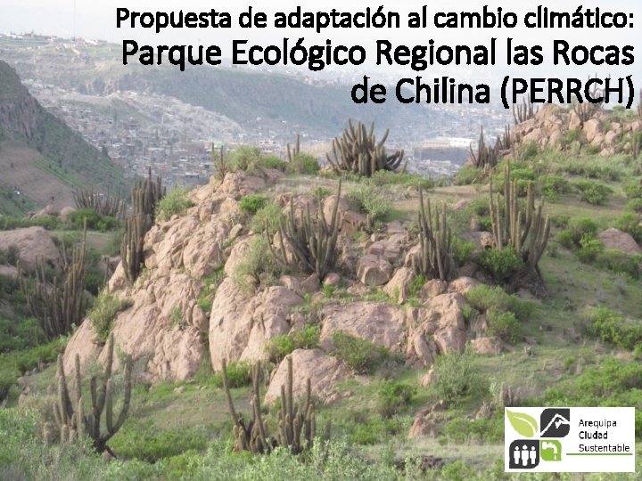 Propuesta de adaptación al cambio climático: Parque Ecológico Regional las Rocas de Chilina (PERRCH)